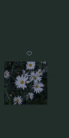 @你看那是岸_朱夫人（由于壁纸有一部分自制，所以转壁纸请加关注注明出处，蟹蟹）平铺，可爱，女王范，黑色，黑白，白色，锁屏，ins风，潮，御姐，动漫，卡通，风景，古风，流行，欧美，情侣壁纸