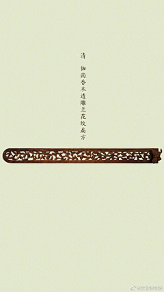宁馨郁金香采集到#紫禁博览#