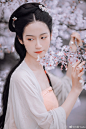 #杭州约拍##汉服##汉服摄影#
繁樱簌簌知春光，呵手试红妆。
轻罗小扇半掩，粉雨逐幽芳。
新花微醺不达意，遥寄相思千里长。
拍摄/后期: @白露-bailu
出镜: @良心什么的不存在的
服装（友情提供）: @簪花阁汉服工作室
文案: @是你的倾故故啊
小伙伴: @是桃子本桃呀
#上海约拍##苏州约拍##江浙沪约拍##樱花下汉服美少女#
