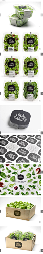 local garden包装设计 | 视觉中国