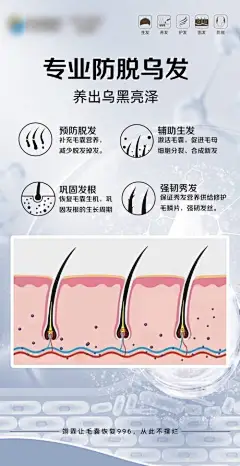 海报 生发  脱发 固发 掉发 宣传