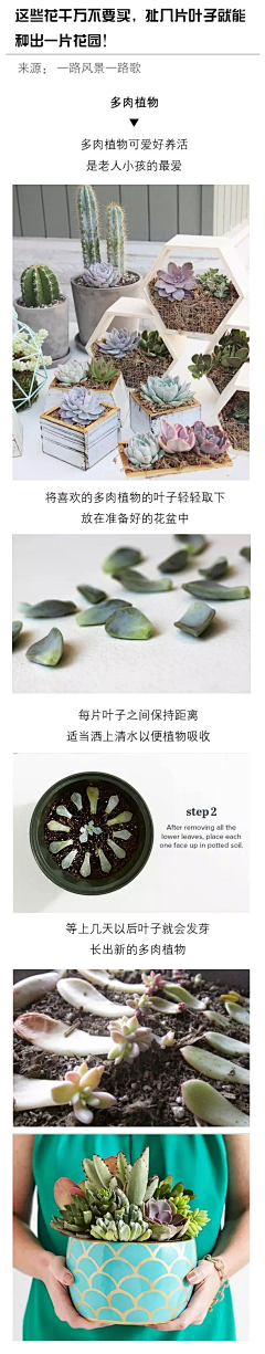 rollin01采集到长知识
