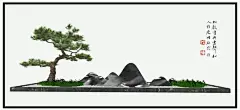 松树盆景  - 源文件下载【酷图网】松树盆景,盆景,微景观,假山,山石,创意盆景,绿植,室内花艺,园艺,园林