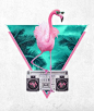 Miami Flamingo Art Print: 