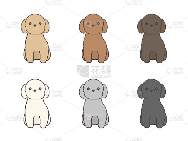 向量套玩具贵宾犬。看相机。面对前面。坐着...