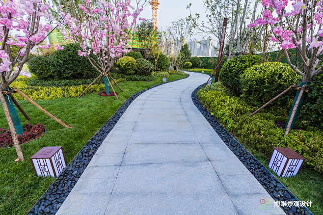 景观展示区，示范区，园路，樱花夹道
