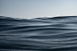 Pure Waves | Gray Whale