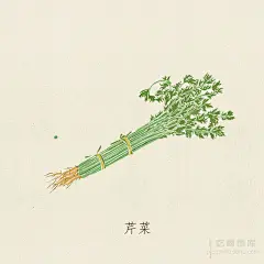 创意作品：简单朴素的蔬果插画_美食_东营大众网