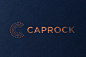 CAPROCK : Caprock is a leader in managing family wealth with their personalized, hands-on approach. Pioneers in the impact investing space, they wanted to modernize their identity and create a cohesive visual system. To revitalize this decade-old brand, w