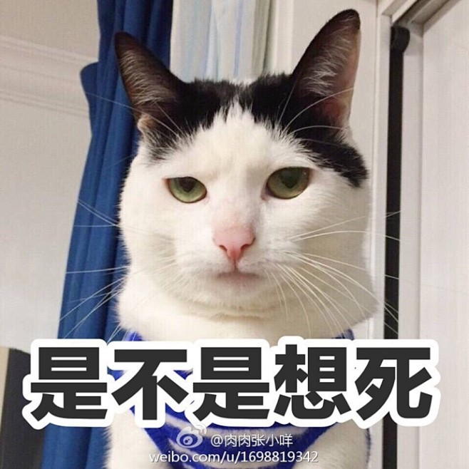 上瘾了哈哈哈哈@瓜皮的id酱