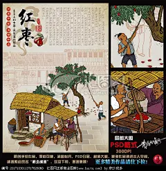 红枣 打枣 插画 红枣包装