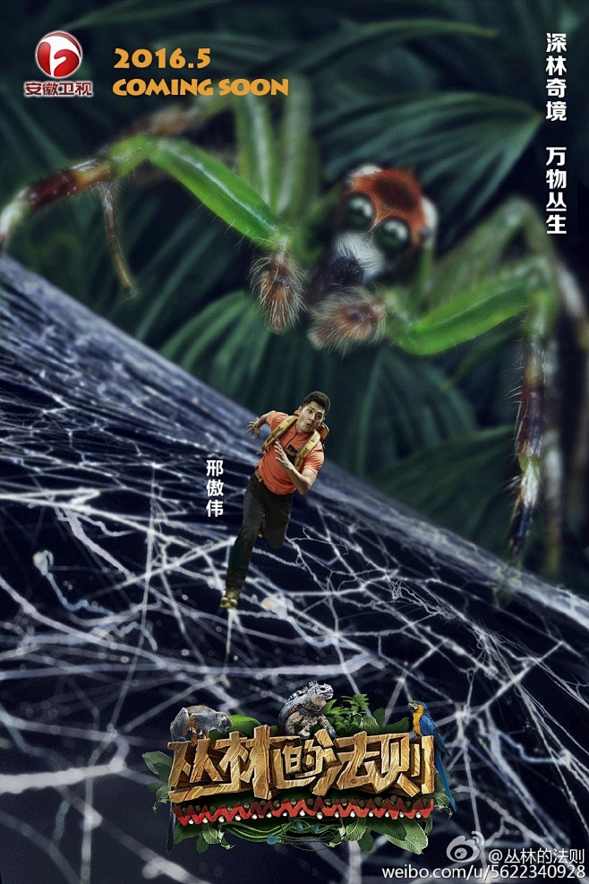 丛林家族全球出征在微话题一起聊聊吧