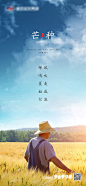 【源文件下载】 海报 芒种 二十四节气 麦穗 小麦 麦田 农民