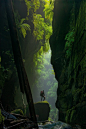 Photograph by Carsten Peter :: Cascades of mammoth ferns flourish in the humid air trapped between the narrow walls of Claustral Canyon. First explored in 1963, the formation was named for its claustrophobia-inducing passages and ranks among the region’s 