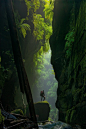 Photograph by Carsten Peter :: Cascades of mammoth ferns flourish in the humid air trapped between the narrow walls of Claustral Canyon. First explored in 1963, the formation was named for its claustrophobia-inducing passages and ranks among the region’s