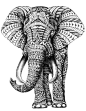 Zentangle pattern elephant: