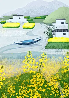 油菜花