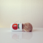 The Cutest Little Hedgehog in the World – Fubiz™