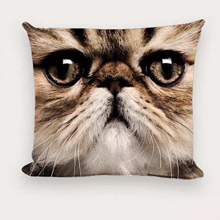 个性写真猫咪沙发方形抱枕 3号咪 #喵星...