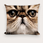 个性写真猫咪沙发方形抱枕 3号咪 #喵星人# #猫# #萌#