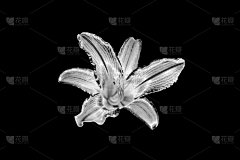 __Thorn_____采集到工作