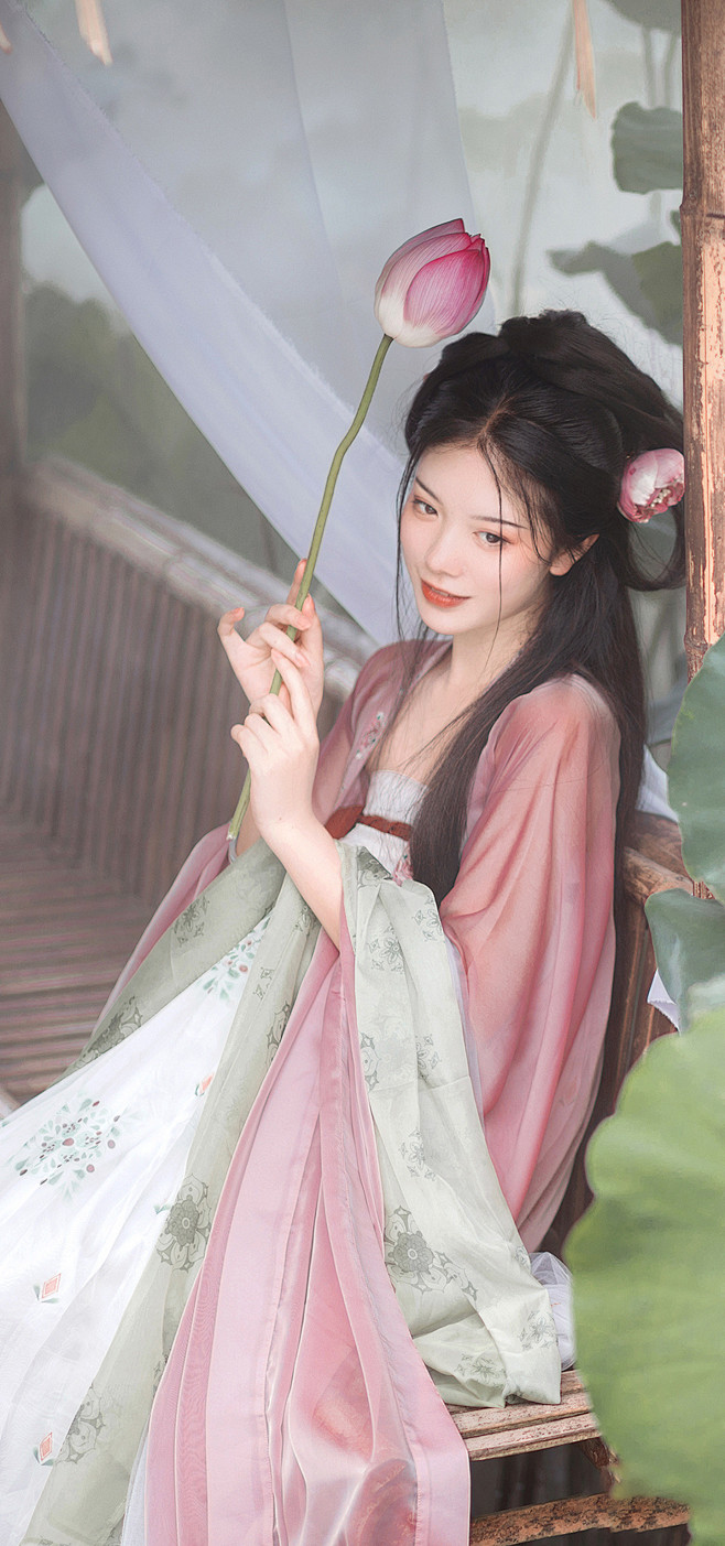 风吹莲动
