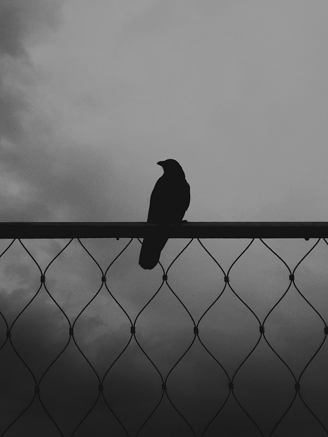 a bird sitting on to...