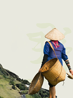 用户qneLSdbz采集到背景