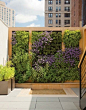 3 Reasons To Make A Living Wall And 25 Cool Examples - Gardenoholic