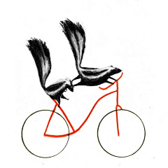 丘囧囧采集到西班牙艺术家用漫画讲述骑车的10个好理由