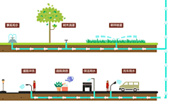 hanaiping采集到雨水花园