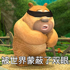 小托秃秃采集到熊二
