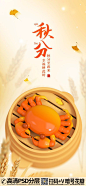 qq282753422简约卡通创意秋分二十四节气海报设计 (10)