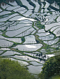 terraced rice-fields in Niigata, Japan