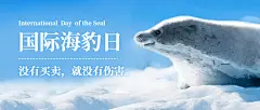 3.1国际海豹日公众号首图