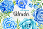Watercolor blue flowers set  - PS饭团网