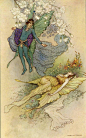 Warwick Goble