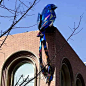 大型玻璃钢雕塑动物鸟屋顶艺术装置酒店售楼商业街不锈钢雕塑定制-淘宝网