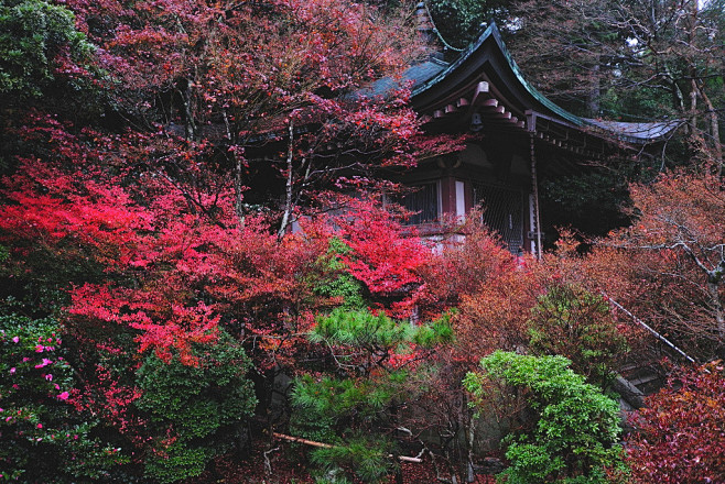 日式