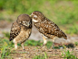 Photograph A Tender Moment by Judylynn Malloch on 500px