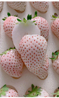 现摘白草莓新鲜水果包邮白雪公主牛奶大草莓白色淡雪顺风发货现货-tmall.com天猫