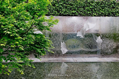 lynn02采集到景墙