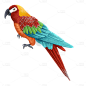 手绘-热带鸟类动物元素贴纸2