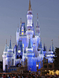 Disney World, Florida,all dreams do come true