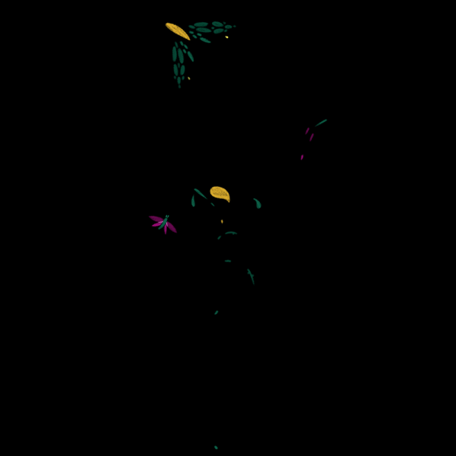 kaleidoscope-botanical-animations-by-anna-taberko-inspiration-grid