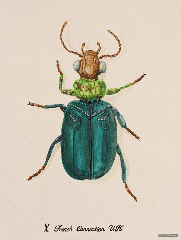 昆虫记——穿衣服的昆虫