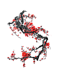 潶嗨d魚采集到花卉PNG 素材