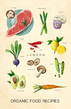 手绘美食食材插画蔬菜龙虾蘑菇辣椒萝卜牛油果PSD设计素材psd335-淘宝网