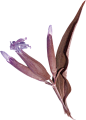 @冒险家的旅程か★
鲜花png 花朵装饰 花卉免抠图PNG透明背景素材 紫色花 薰衣草png 植物鲜花 一簇鲜花 一捧花束 一支花