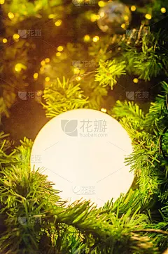 圣诞彩灯装饰佳节的问候